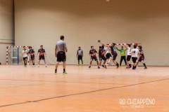 Ro-Chiappino-Chaminade-80